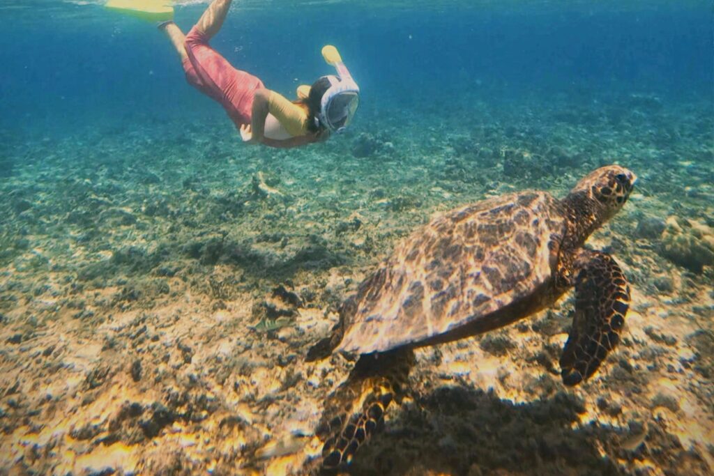 Una niña haciendo snorkel con una tortuga en las islas Gili Air Indonesia